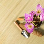 Creative Landscape Gardening Co