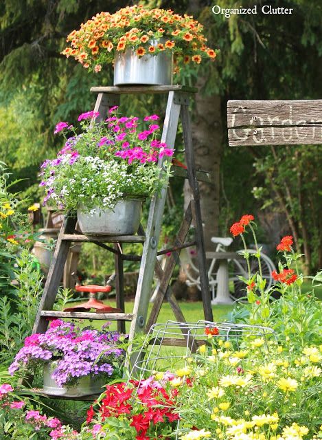 - Brighten your garden with these vibrant outdoor container gardening ideas featuring Begonias