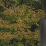 Indoor Home Gardening Indoor Garden Ideas Creative indoor garden ideas for home gardening enthusiasts, perfect for indoor gardening inspiration