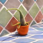 Transform your small UK back garden with creative design ideas