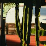 Cheap Garden Ideas - Small Gardens Transforming Small Spaces with Creative and Budget-Friendly Ideas
