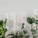 Inspire students with creative ideas for school gardening club activities