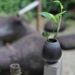 Bulb Gardening Ideas vibrant blooms, seasonal variety, low maintenance gardens