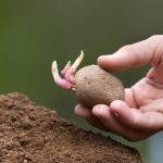 Gardeners World 101 Grow to Eat Ideas Torrent Discover 101 Grow to Eat ideas on Gardeners World with a free torrent download