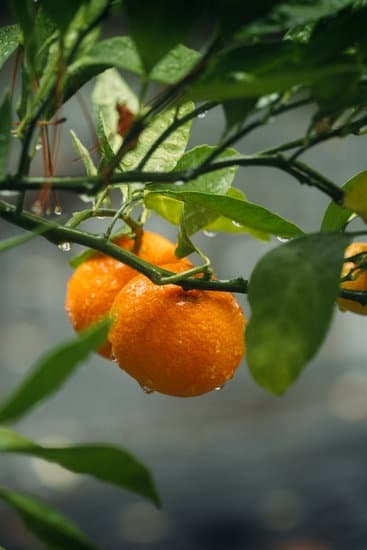 Ideas for Gardening in Small Spaces 3 Ideas for maximizing your garden's potential
