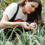 Window Gardening Ideas Explore creative window gardening ideas for urban spaces