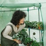 Ideas for Patio Gardens Transform your outdoor space with creative Ideas for Patio Gardens