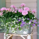 Landscape Gardens Ideas Uk Explore stunning landscape gardens ideas in the UK for inspiration and creativity