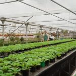 Ideas for Container Gardens Uk Creative container gardening ideas for UK climates