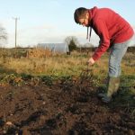 Innovative planting techniques for creative container vegetable gardening ideas