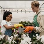 Natural Gardening Ideas Discover sustainable planting tips for beautiful gardens with these natural gardening ideas