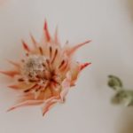 Part Time Job Ideas for Retiree Who Loves Gardening Garden consultant or plant caretaker