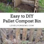 Gardening Gift Ideas for Women unique tools, gloves, and seed kits for beginners