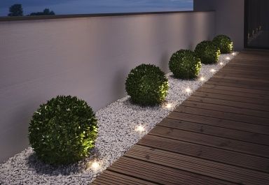 Gardeners Gift Ideas for Her 5 practical tools, pretty plants, and stylish accessories