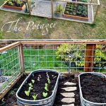 Gardener Cake Ideas Creative Garden-Themed Cake Designs - Perfect for Gardener Cake Ideas