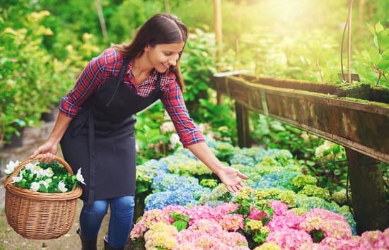 Home Gardening Ideas Mumbai 1 Explore creative Mumbai home gardening ideas for a greener urban oasis