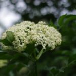 Explore innovative Better Homes and Gardens cube organizer basket ideas for stylish home organization