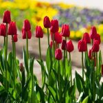 Explore Better Homes and Gardens' Kitchen Bath Ideas for inspiring designs and renovations