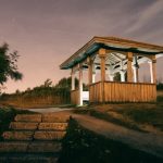 Harvesting tips, plant placement, and landscaping inspiration for your virtual garden