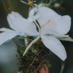 The Idea Gardener A creative mind cultivating innovative solutions for growth and transformation