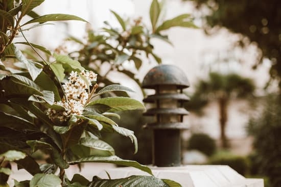 Gardening Ideas Before and After 1 Transform your outdoor space with these creative tips