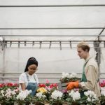 Unlocking new plant varieties, landscaping tips, and unique garden design concepts