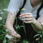 Gardening Ideas With 55 Gallon Metal Drum Transform your backyard with gardening ideas using a 55 gallon metal drum