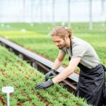 Rock and Cedar Posts Ideas for Gardens - Creative garden designs with rock and cedar posts, ideal for landscaping projects