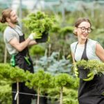 Sprout Gardening Ideas Transform your garden with unique sprouting techniques and designs