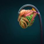 Gardening Tool Innovation and Invention Ideas Innovative Ideas & Inventions for the Modern Gardener