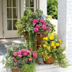 Gardening Ideas for Small Front Yards Explore creative gardening ideas for small front yards to maximize space and enhance curb appeal