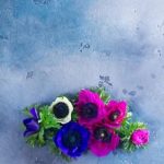 Ideas for Small Courtyard Gardens Transform your small courtyard with creative ideas for small courtyard gardens