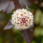 Gardening Business Ideas Uk Explore profitable gardening business ideas in the UK with innovative services and sustainable practices