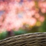 Shabby Chic Gardens Landscaping Ideas With Rod Iron Transform your garden with shabby chic landscaping ideas featuring rod iron accents